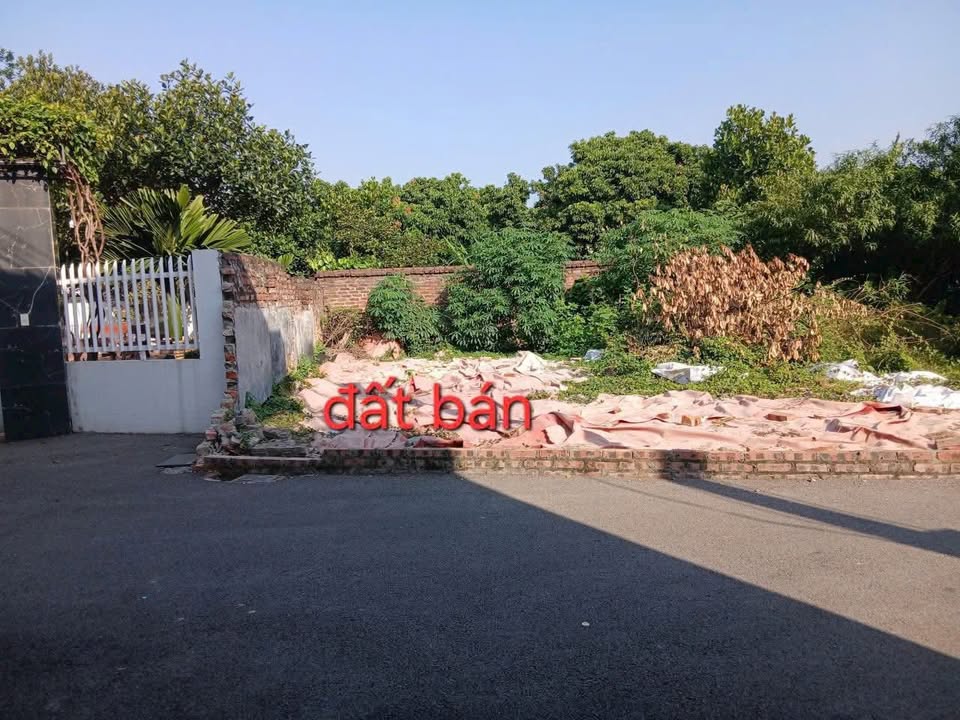 Đất nền 64m² tại Ngõ 39 Nguyễn Văn Linh, Vĩnh Yên - Giá chỉ 1.1 tỷ!