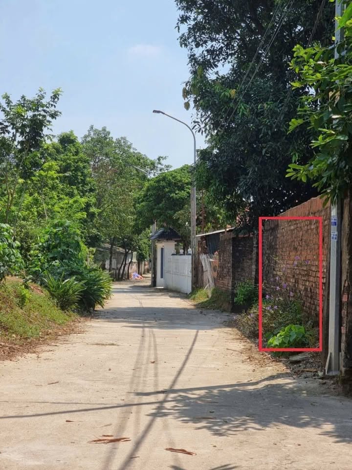 Đất thổ cư Thôn Sơn Đồng, Hồ Sơn, Tam Đảo 124m² giá 695 triệu - Đường rộng thông thoáng!