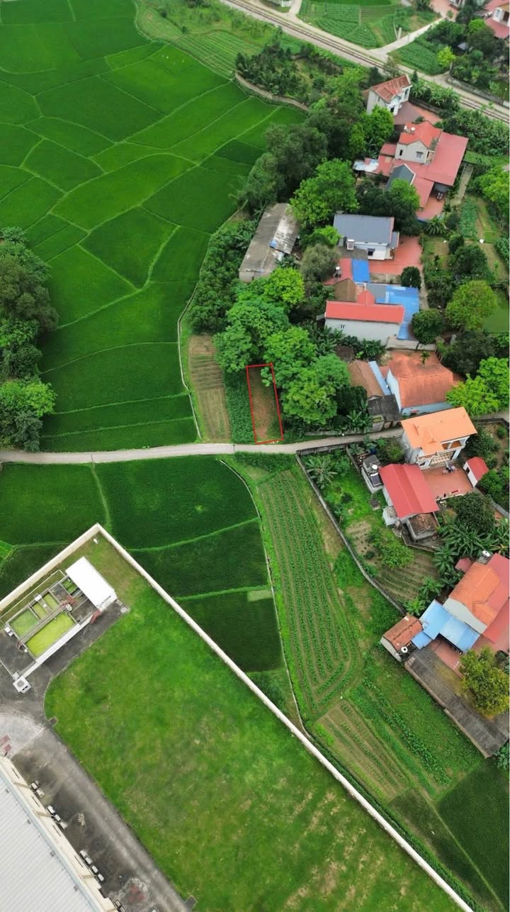 Đất thổ cư Tân Hương - Phổ Yên 100m² giá chỉ 1 tỷ - Đầu tư sinh lời ngay!