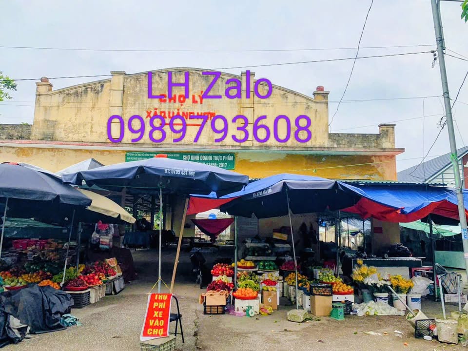 Đất nền 525m² Xã Quảng Hợp giá thỏa thuận - Đường ô tô 40m, gần chợ