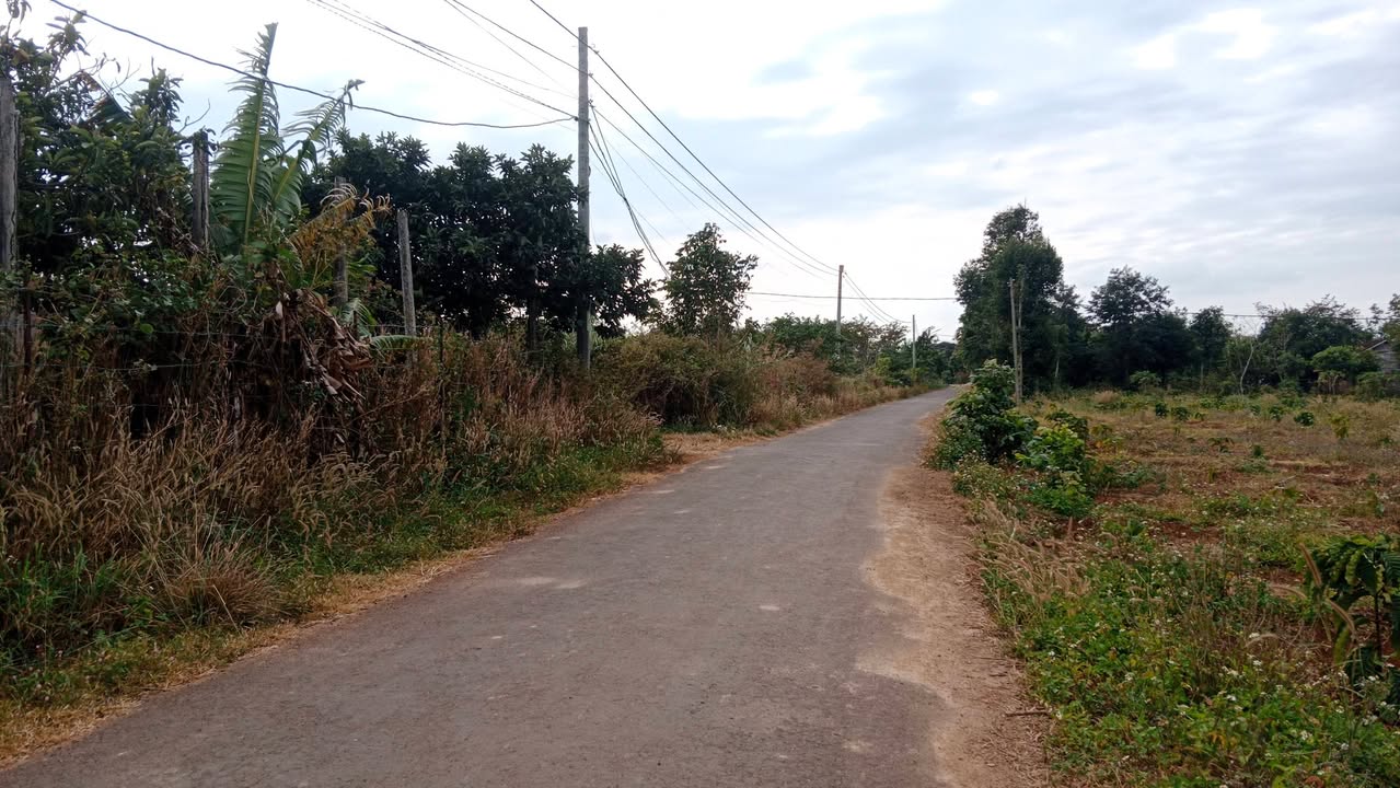 Đất ở xã Ea Na, Đắk Lắk 2891m² giá 2.7 tỷ - Đường nhựa ô tô rộng rãi!