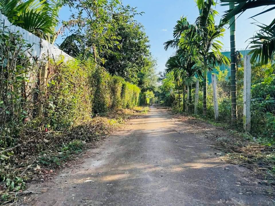 Đất nền Hẻm C1 Mậu Thân 125m² giá 900 triệu - Cơ hội đầu tư tốt!