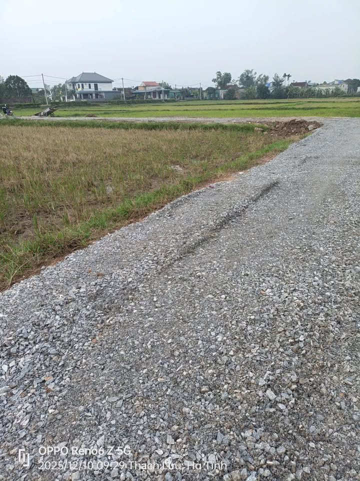 Đất nền Thạch Kim, Thạch Hà 130m² giá 1.7 tỷ - Đầu tư sinh lời ngay!