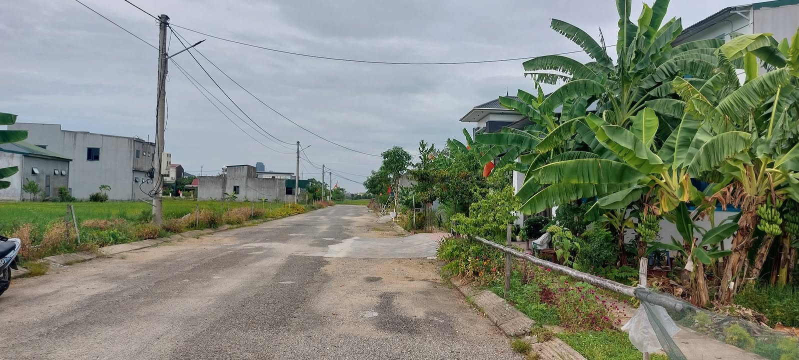 Đất quy hoạch chăn nuôi tại Phường Văn Yên - 150m² giá 3 tỷ - Cơ hội đầu tư tuyệt vời!