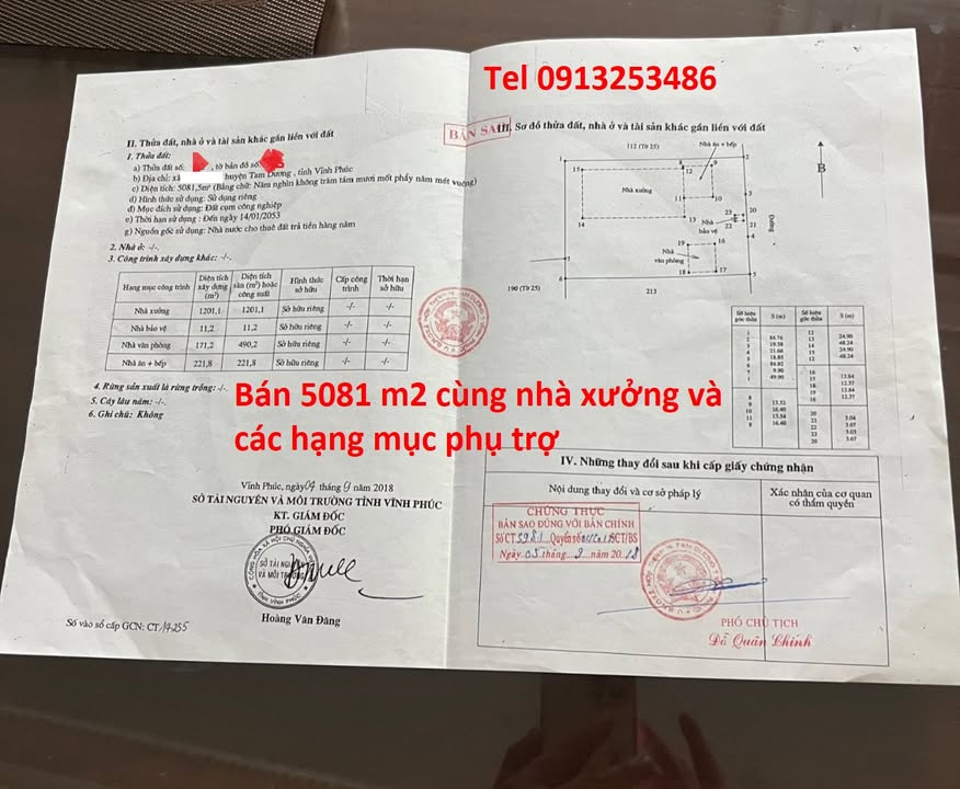 Bán nhà xưởng tại cụm CN Tam Dương, Phú Thọ 1202m² - Hạ tầng hoàn thiện, xe container ra vào dễ dàng!