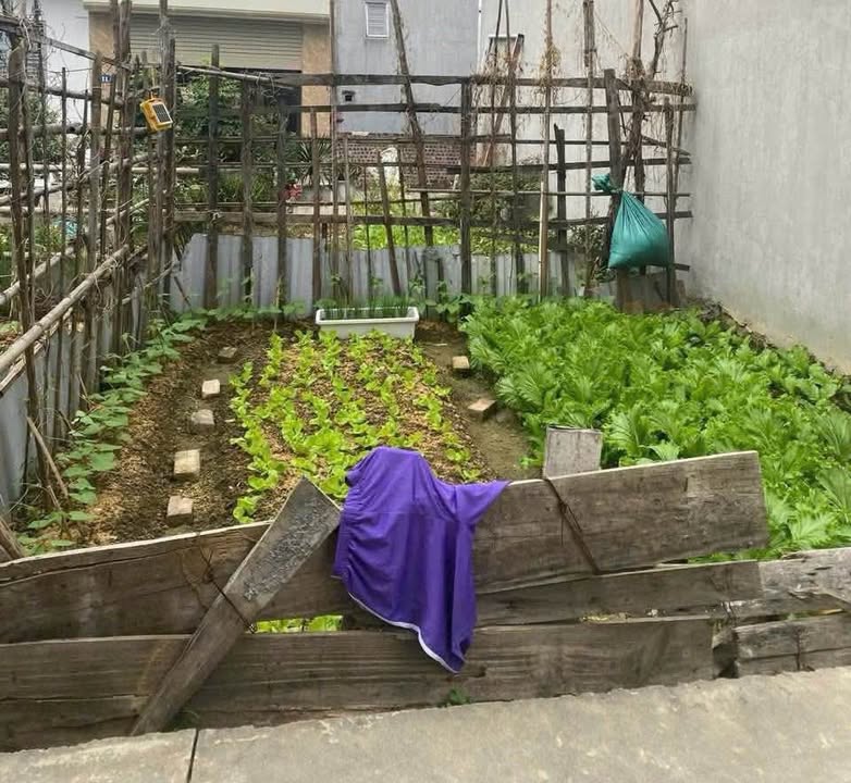 Đất nền Nam Hải, Hải An, 48.3m² chỉ 1.5 tỷ - Đầu tư sinh lời ngay!