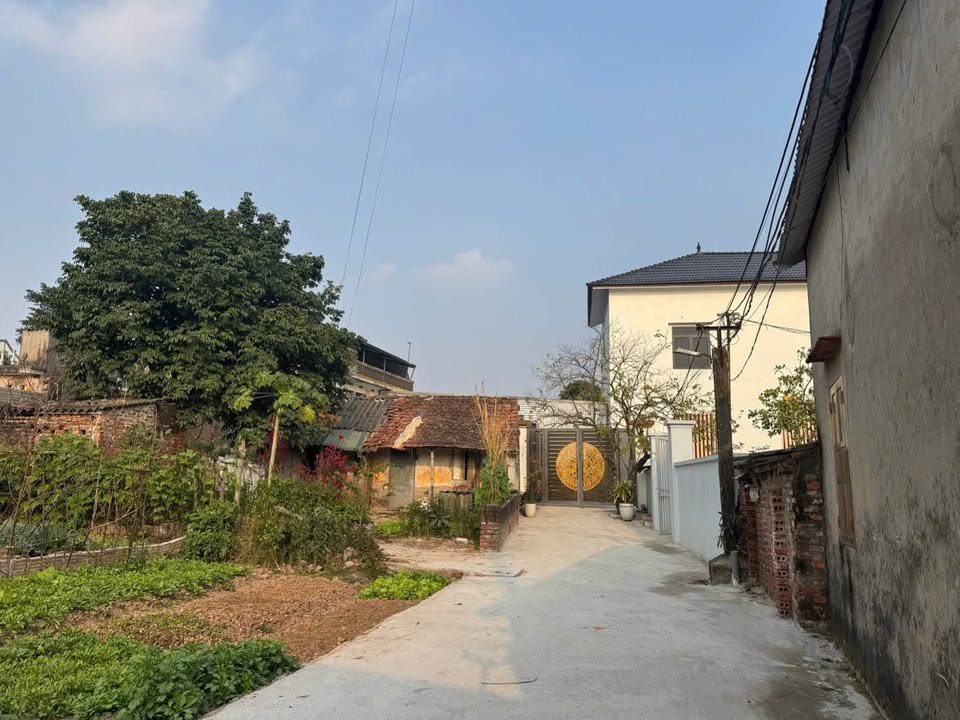 Đất nền Khả Liễu, Phúc Tiến, Phú Xuyên 107,7m² giá chỉ 2x triệu - Đầu tư sinh lời!