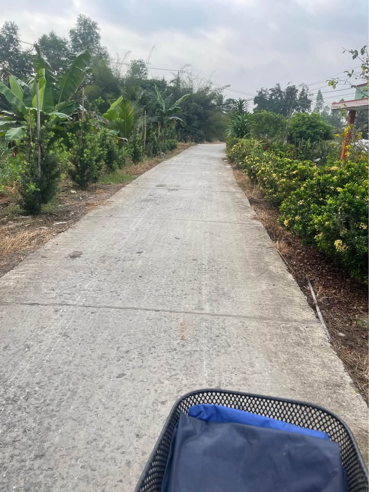 Đất nền 175m² tại xã Tân Hòa Thành, huyện Tân Phước - Giá chỉ 349 triệu