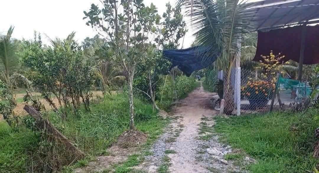 Đất nền 500m² Tân Phú Tây, Mỏ Cày Bắc giá 270 triệu - Cơ hội đầu tư hấp dẫn!