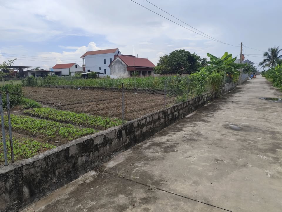 Đất nền Xóm 9 Nam Điền 250m² giá 140 triệu - Đầu tư tiềm năng cao!