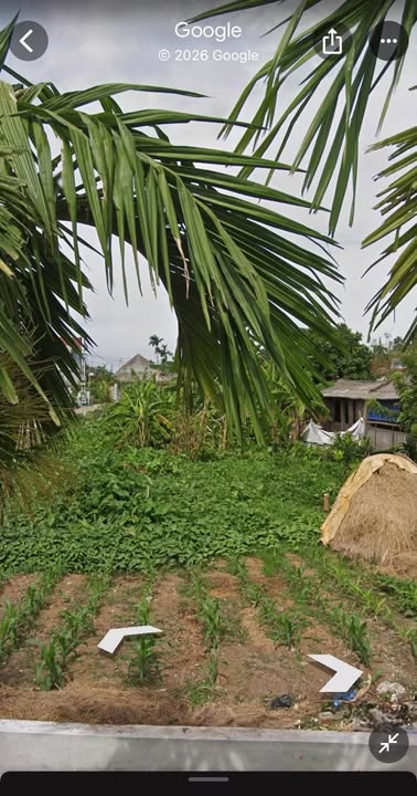 Đất thổ cư Nghĩa Thái 108m² giá 1.4 tỷ - Lô góc 2 mặt đường, cơ hội đầu tư hấp dẫn!