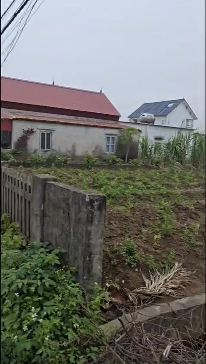 Đất nền Xóm 1 Nam Điền 143m² giá chỉ từ 200 triệu - Cơ hội đầu tư không thể bỏ lỡ!