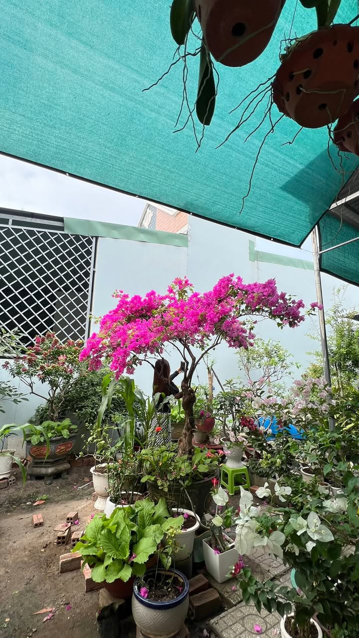 Đất nền Becamex GĐ1, Bình Phước 150m² giá 1.1 tỷ - Sổ hồng chính chủ!