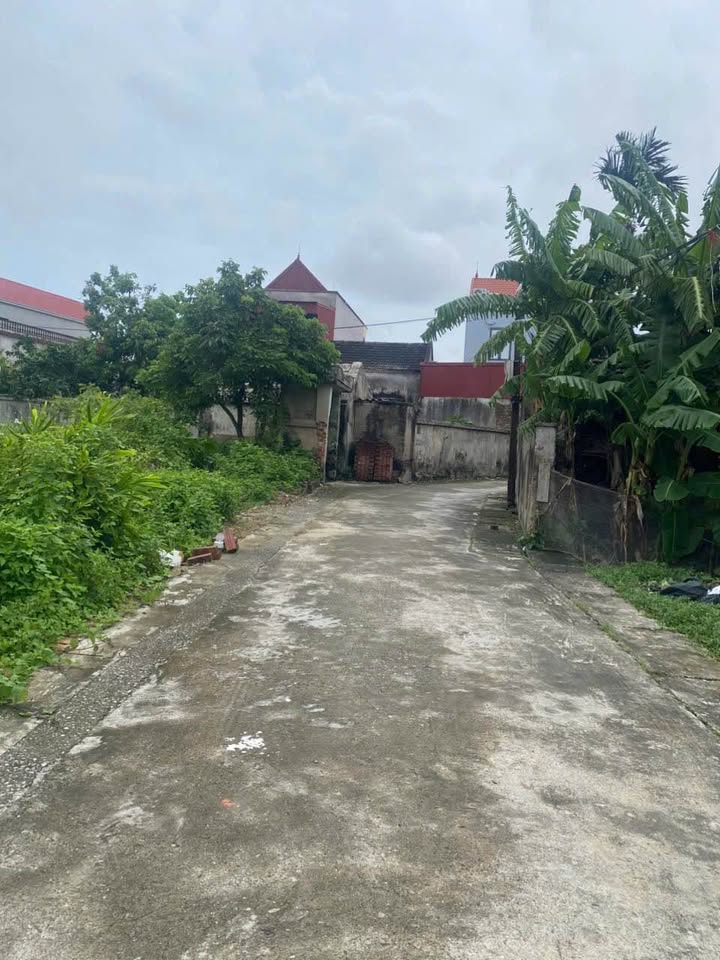 Đất nền Kiến Thụy Hải Phòng 75m² - Vị trí đắc địa gần khu công nghiệp Ngũ Phúc!