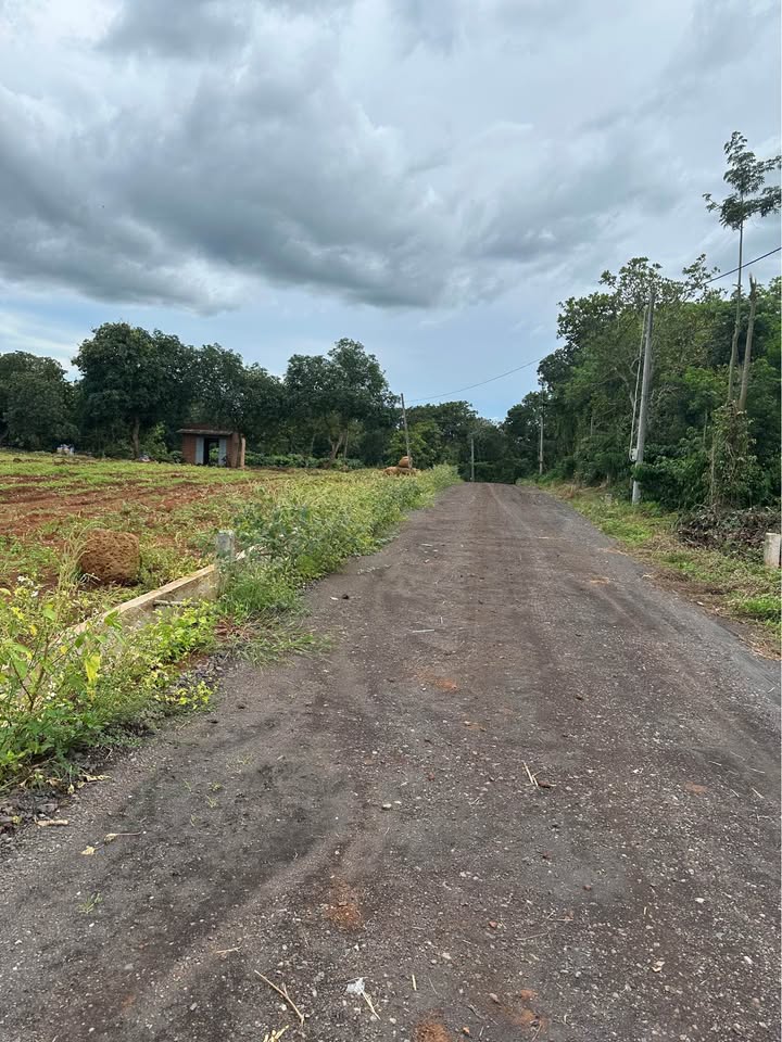 Đất nền xã Bình Giã, huyện Châu Đức 197m² giá 500 triệu - Cơ hội đầu tư tuyệt vời!