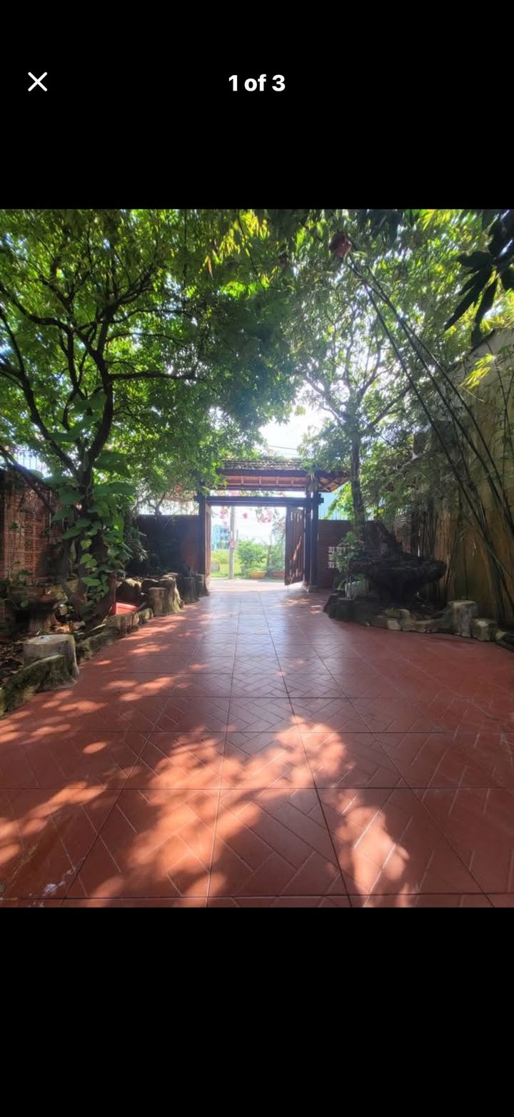 Nhà gỗ nhỏ xinh tại Hương Lộ 2, Bà Rịa 126m² giá 2.35 tỷ - Không gian nghỉ dưỡng lý tưởng!