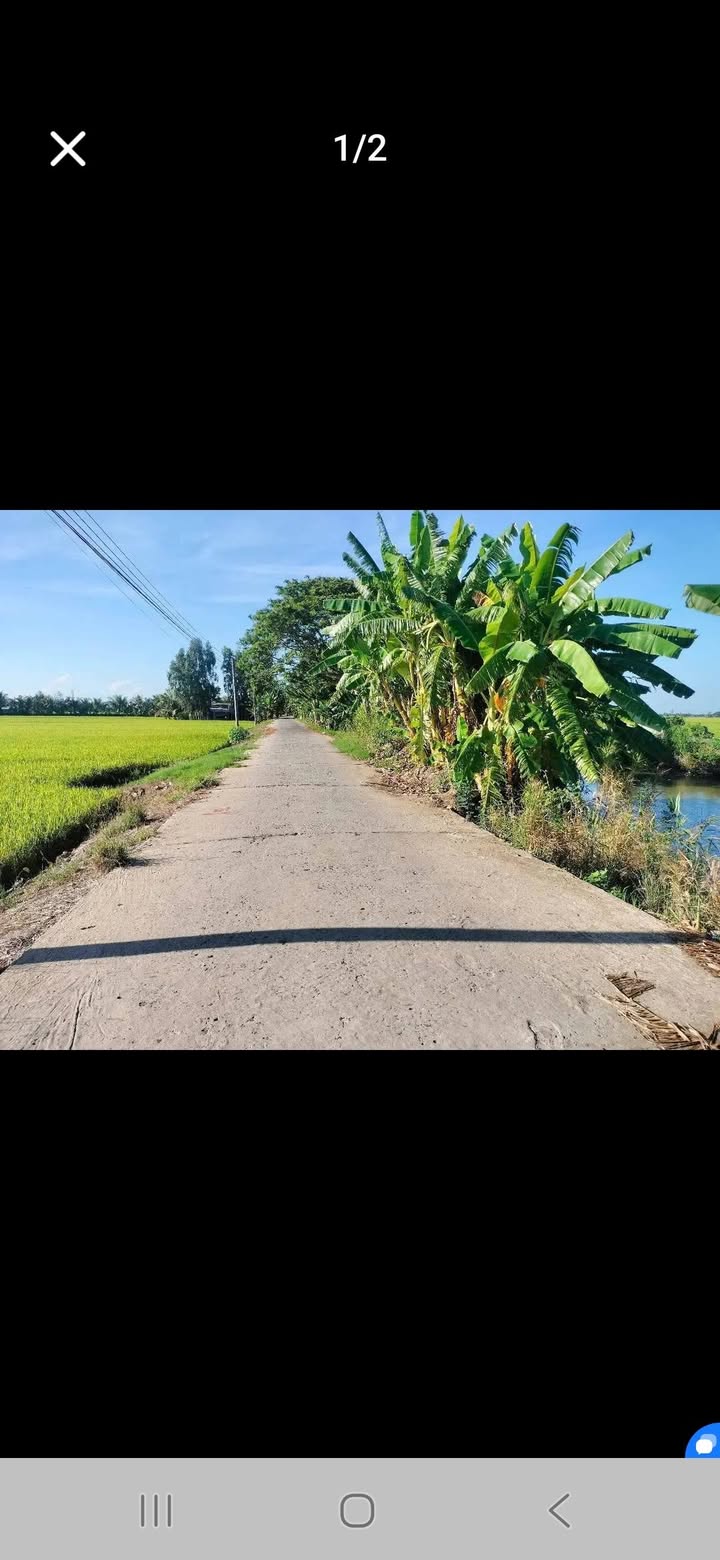 Đất Farm 5 công tại Cờ Đỏ, Cần Thơ - Giá 1.2 tỷ, thích hợp làm vườn