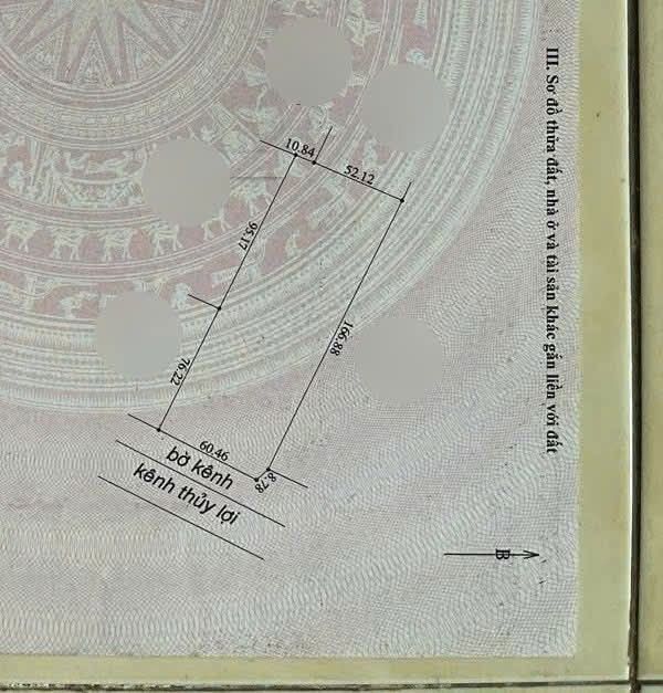 Đất ruộng mặt tiền kênh Tôn Đức Thắng 11 công - Giá thương lượng hấp dẫn!