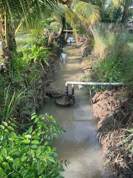 Đất vườn sầu riêng 2000m² tại Long Trung - Giá chỉ 2 tỷ, lợi nhuận cao!