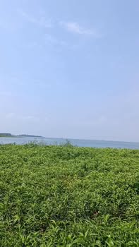 Đất vườn 1000m² tại Hồ Trị An - Sổ riêng, giá đầu tư hấp dẫn!