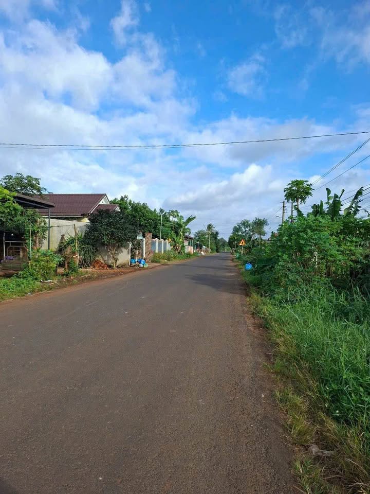 Đất nền thổ cư Hòa Khánh 100m² giá 730 triệu - Đường nhựa thông thoáng