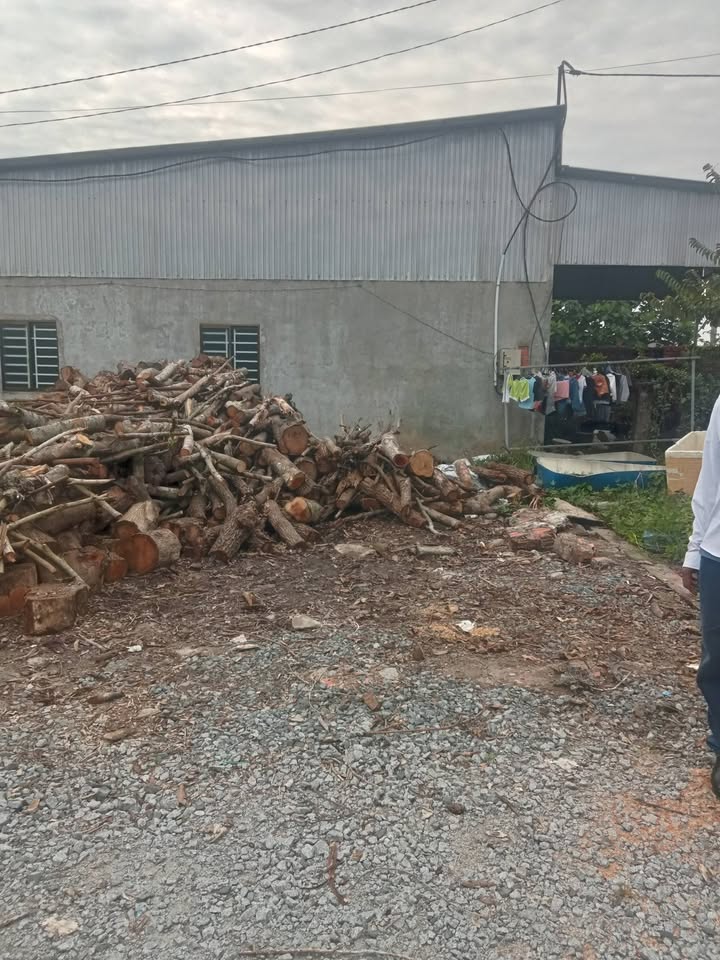 Bán đất mặt tiền Quốc Lộ 61, Huyện Châu Thành, 137m² - Cơ sở hạ tầng hoàn thiện, giá tốt!