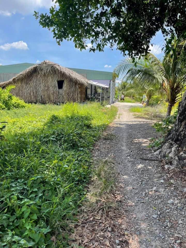 Đất vườn Hướng Thọ Phú 100m² giá 270 triệu - Cơ hội đầu tư tuyệt vời!