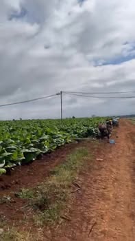 Đất nền Cư M'gar Đắk Lắk 10ha giá 300 triệu/sào - Đầu tư sinh lời ngay!