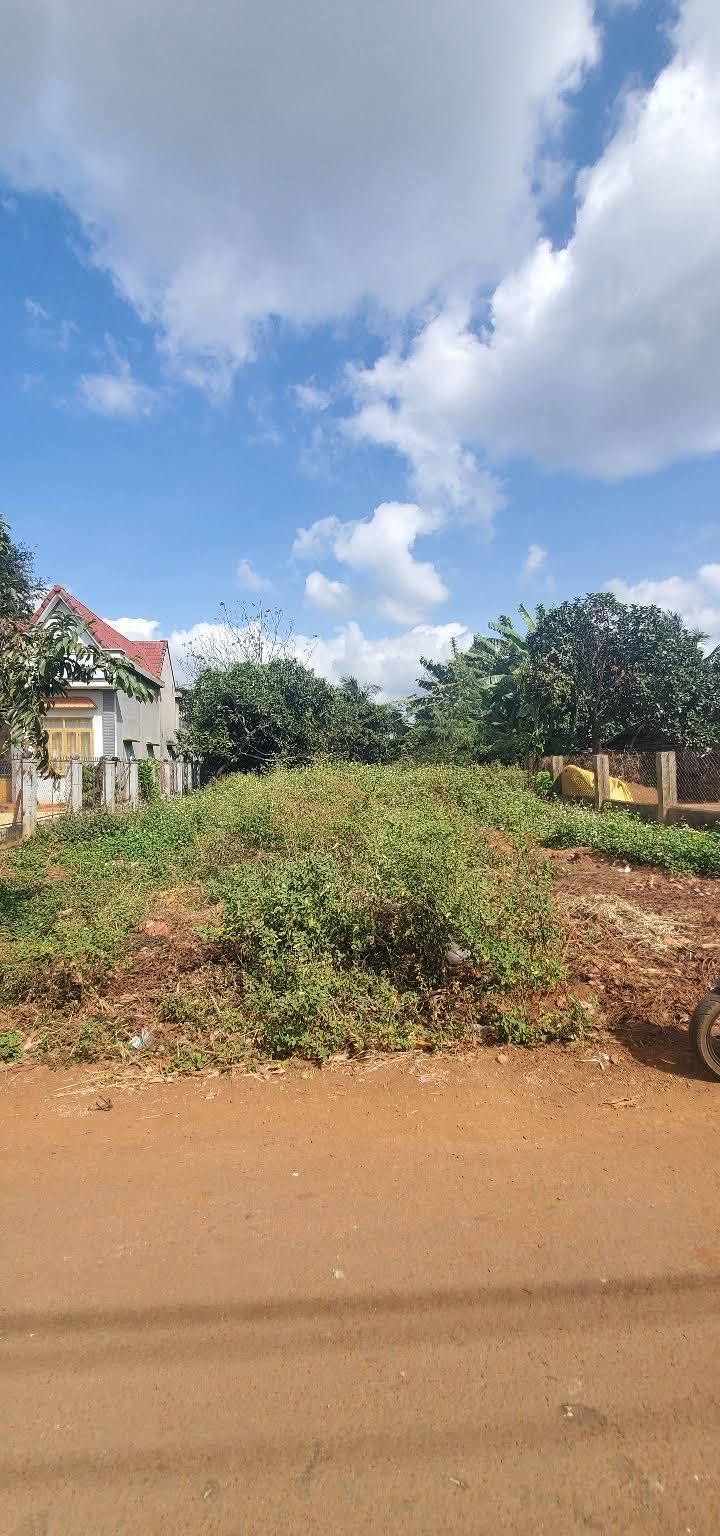 Đất nền Phường Hòa Xuân, Quận Cẩm Lệ 468m² giá 1.65 tỷ - Đầu tư sinh lời ngay!