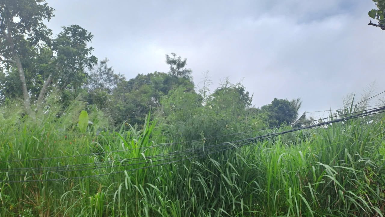 Đất nền 200m² tại Xã Cư Huê, Huyện Ea Kar - Hướng Bắc, giá thỏa thuận!