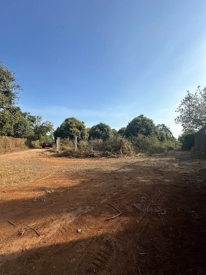 Lô đất nông nghiệp 832m² tại Phường Khánh Xuân - Giá chỉ 1.15 tỷ!