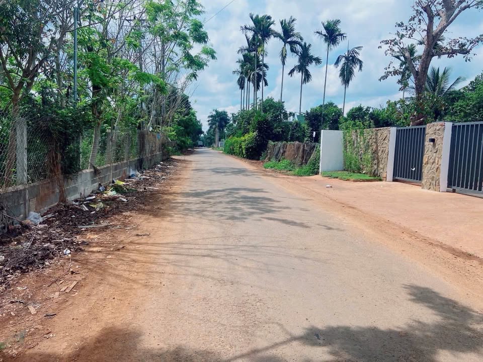 Đất nền Hẻm 50 Đam San, Buôn Ma Thuột 150m² giá 2.3 tỷ - Cơ hội đầu tư vàng!