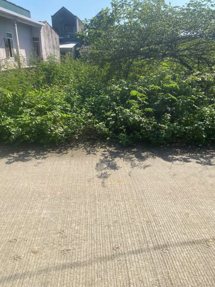 Đất nền xã Đức Phú, huyện Mộ Đức 179m² giá 600 triệu - Cơ hội đầu tư tuyệt vời!