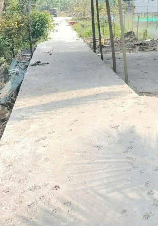 Đất nền 210m² tại Vĩnh Thạnh, Cần Thơ - Giá chỉ 450 triệu, thương lượng