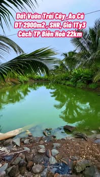 Đất vườn Sông Thao Bàu Hàm 2900m² giá 1.3 tỷ - Cơ hội đầu tư tuyệt vời!