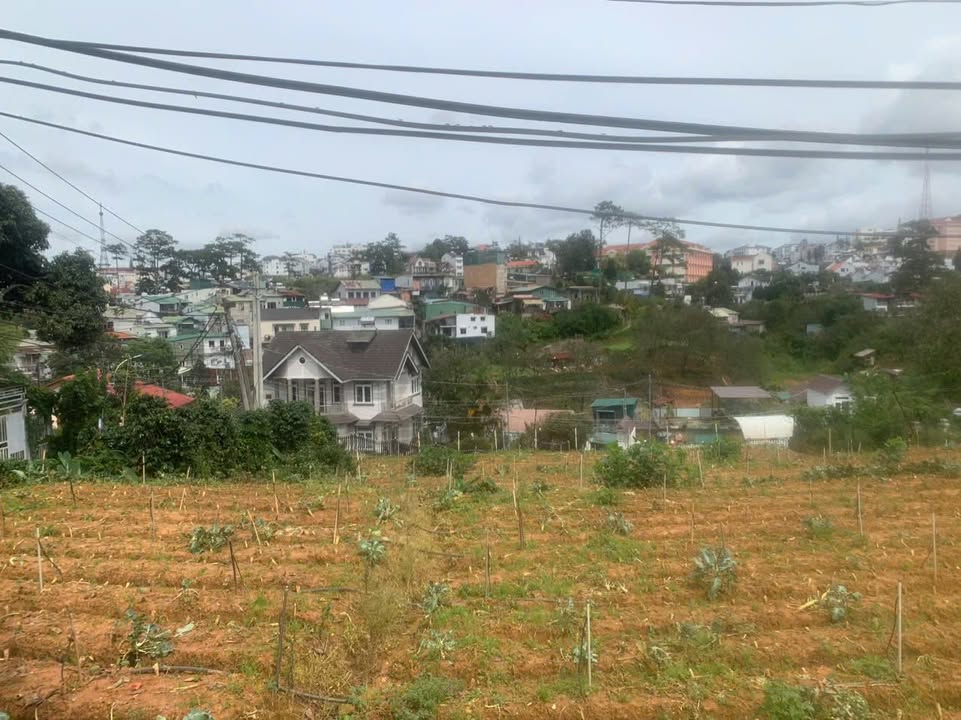 Đất 3 mặt tiền Tô Hiến Thành, Đà Lạt 1237m² giá 65 tỷ - Đầu tư sinh lời lý tưởng!