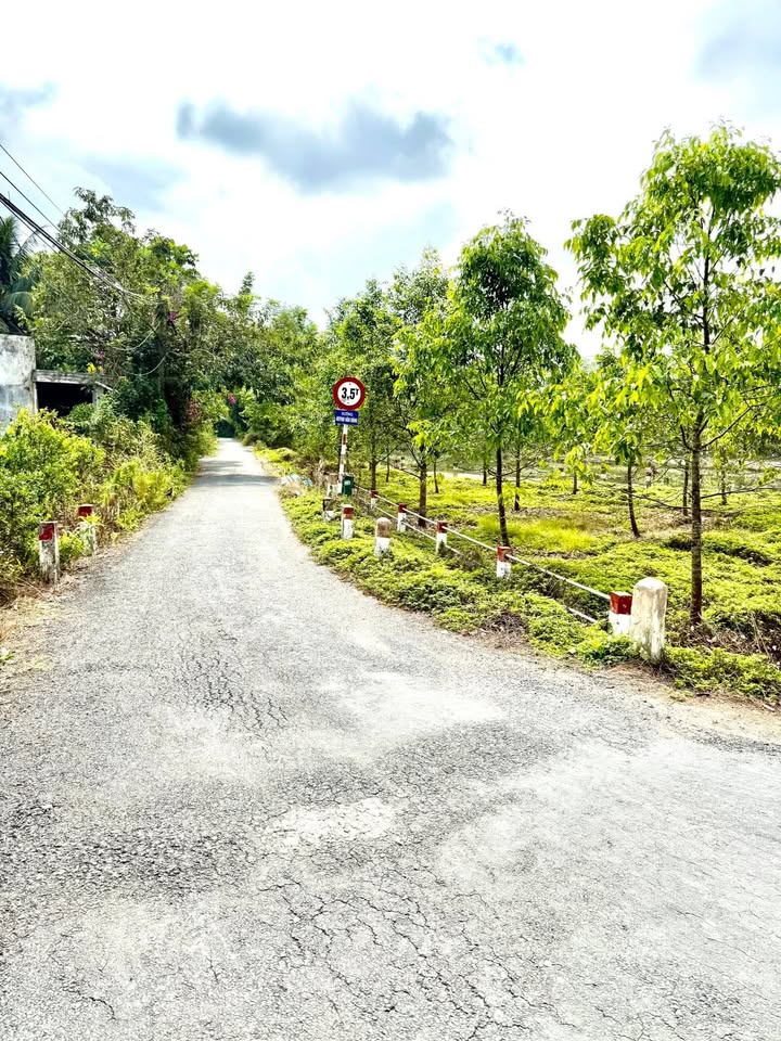 Đất nền 100m² tại Ấp 10, Xã Bình Phú, Giá 310 triệu - Đầu tư sinh lời ngay!