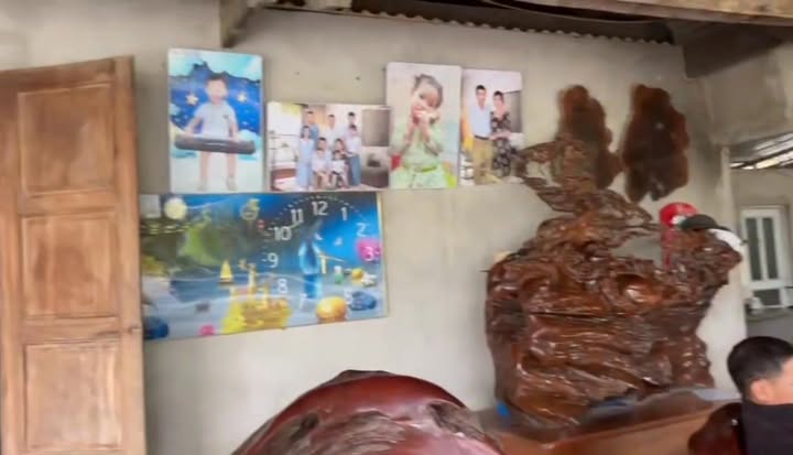 Farm 12ha tại Anh Sơn, Nghệ An - Doanh thu 30 triệu/tháng, giá thỏa thuận