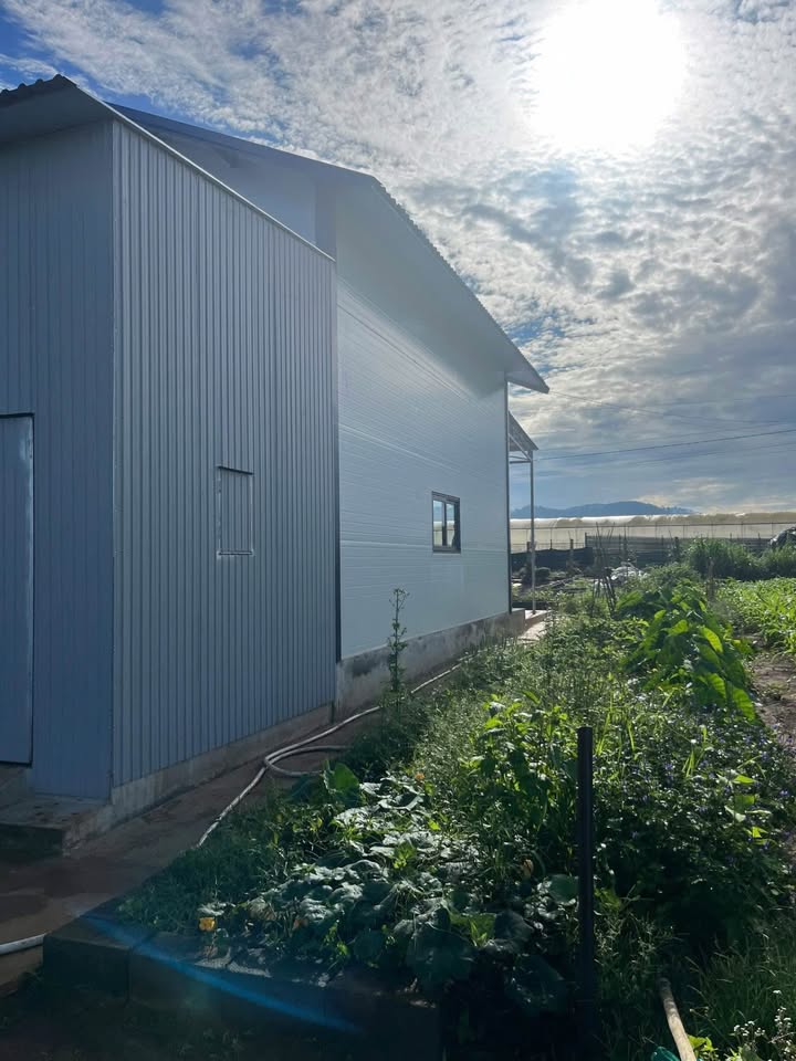 Đất thổ cư 562m² tại Ka Đô, Lâm Đồng - Giá chỉ 1.5 tỷ!