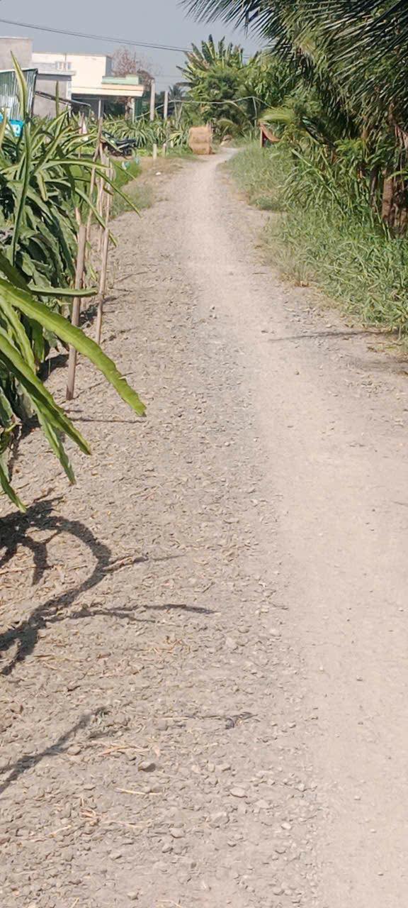 Đất nền tại Tân Điền, Gò Công Đông 125m² giá chỉ 100 triệu - Đầu tư sinh lời ngay!