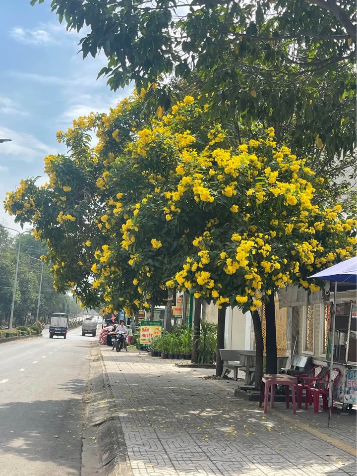 FrontHouse tại Thị trấn Liên Nghĩa 500m² - Mặt tiền kinh doanh sầm uất!