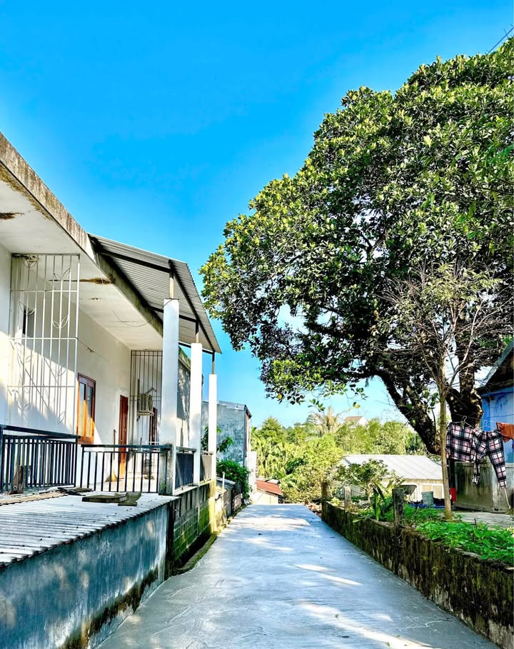 Đất Kiệt Ô Tô Thanh Hải 113.7m² giá 1.78 tỷ - Vị trí đẹp, không ngập lụt!