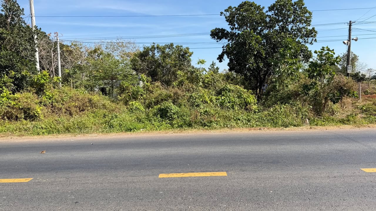 Đất thổ cư mặt tiền QL25, Thôn Ia So, 980m² chỉ 980 triệu - Cơ hội đầu tư tuyệt vời!