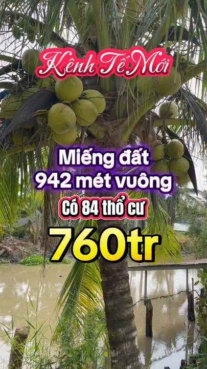 Đất thổ cư 942m² xã Trường Long Tây, Hậu Giang chỉ 760 triệu - Cơ hội đầu tư tuyệt vời!