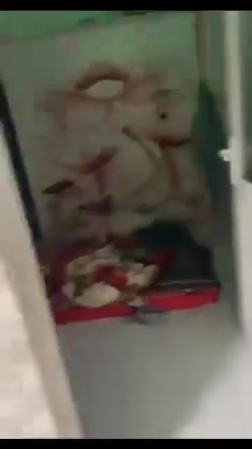 Đất nền mặt đường 639, thôn Phú Hậu, 220m² - Pháp lý rõ ràng, giá thỏa thuận!