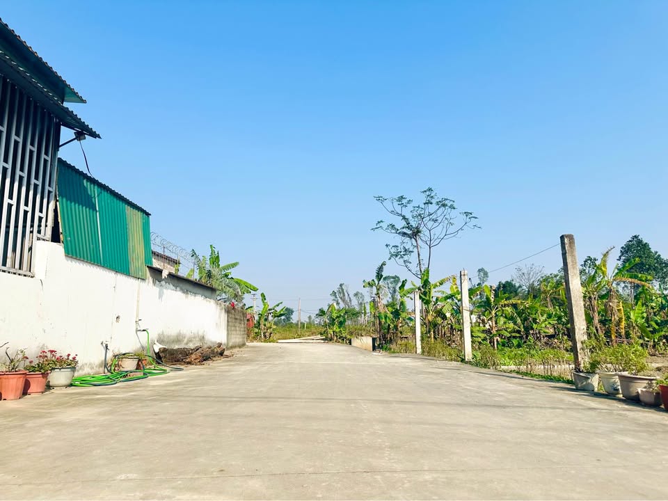 Đất Nghi Liên 87.6m² giá 1.8 tỷ - Gần sân bay và bệnh viện