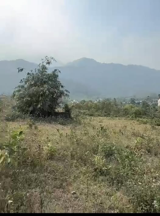 Đất nền Cát Nê, Đại Từ 2500m² giá chỉ 2 tỷ - Đầu tư sinh lời ngay!