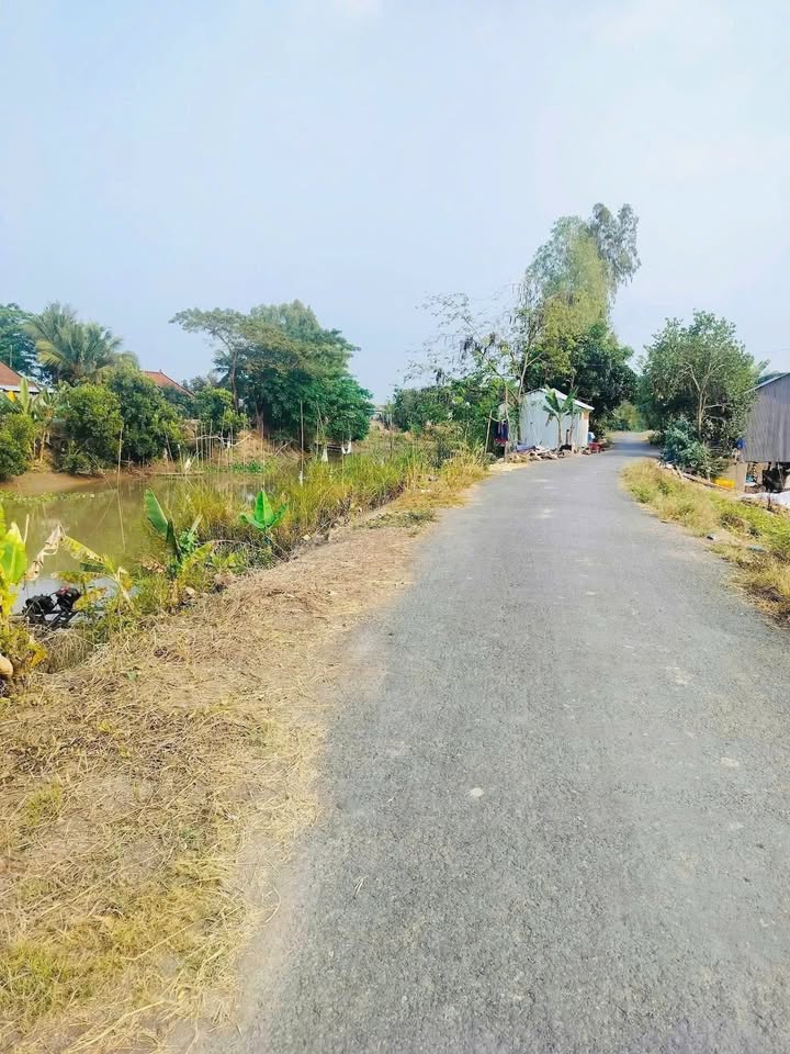 Đất Farm 5.500m² tại Tân Phú, Thanh Bình, Đồng Tháp - Sổ đỏ chính chủ, giá chỉ 1.925 tỷ