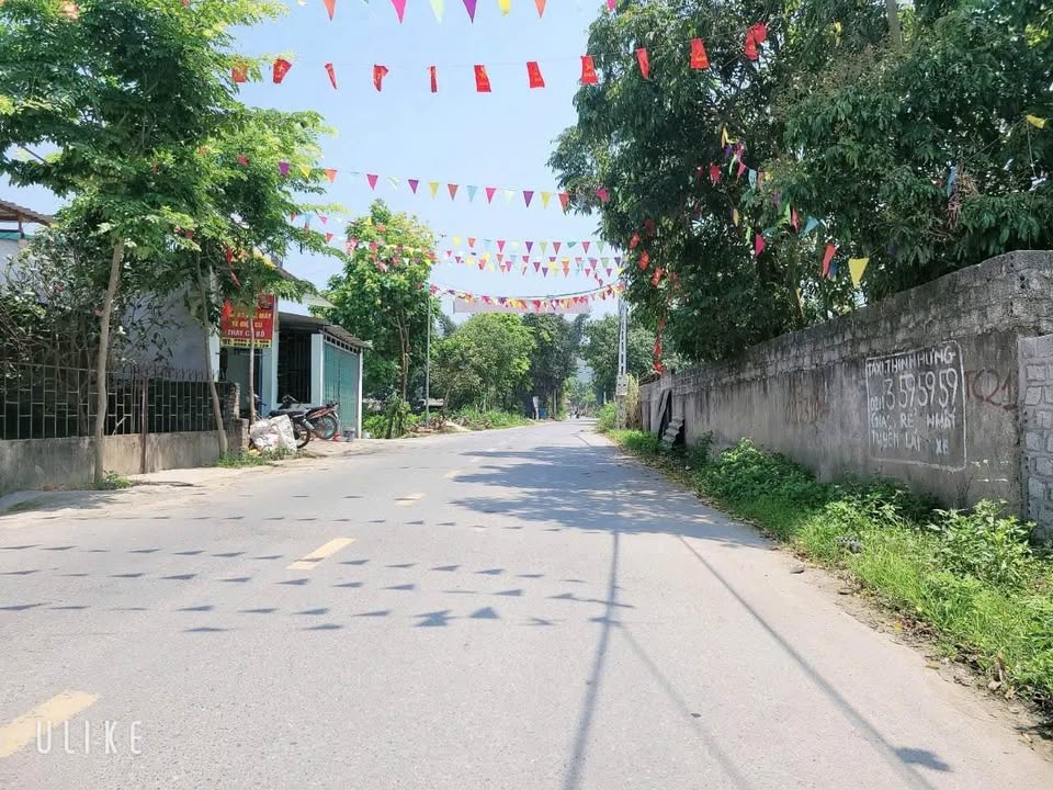 Đất nền TDP Lán Than, Đại Đình, Tam Đảo 112.6m² giá 1.1 tỷ - Vị trí kinh doanh đắc địa!