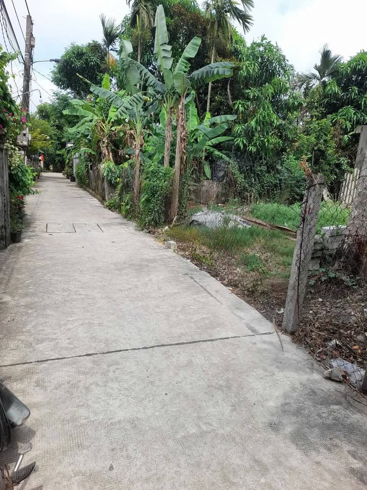 Đất mặt tiền Xóm 10, Phú Thượng, TP Huế 70m² giá 1.4 tỷ - Cơ hội đầu tư tuyệt vời!